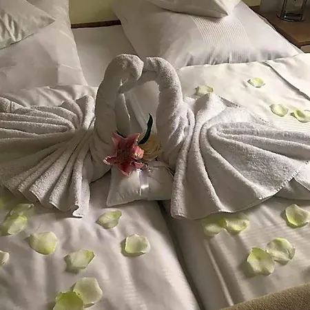 Am Hof Hotel